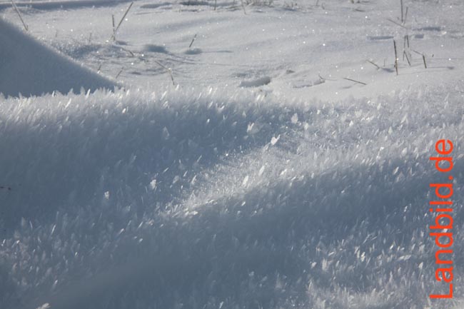 Schneekristalle_3914