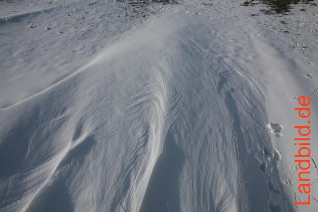 Schneeverwehung_3883