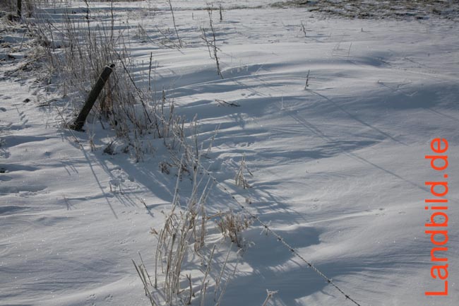 Schneeverwehung_3926