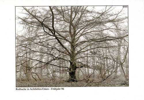 0101 Achthoefen