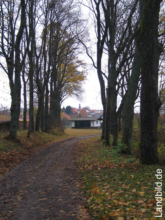 Alte Hohl_8242