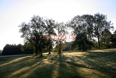 Kurpark__7806