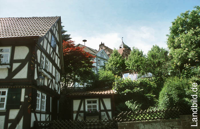 Schlitz_14